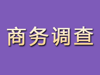 岱岳商务调查